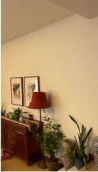 Pasir Ris Beach Park (D18), Terrace #598557721